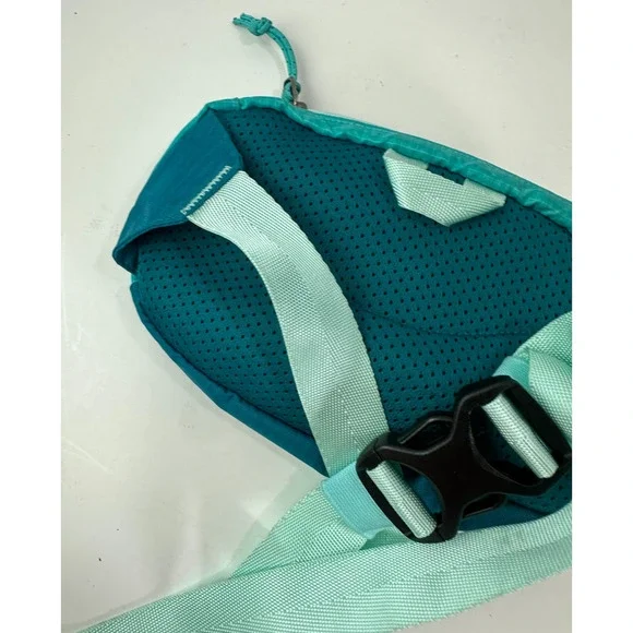 Patagonia Ultralight Black Hole Mini Waist Teal Blue Belt Bag Fanny Pack One Sz - Picture 5 of 8